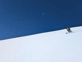 Perfect corn! We nailed the conditions/timing Perfect corn! We nailed the conditions/timing