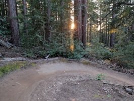 Flow trail at Soquel Demo Forest - so good Flow trail at Soquel Demo Forest - so good